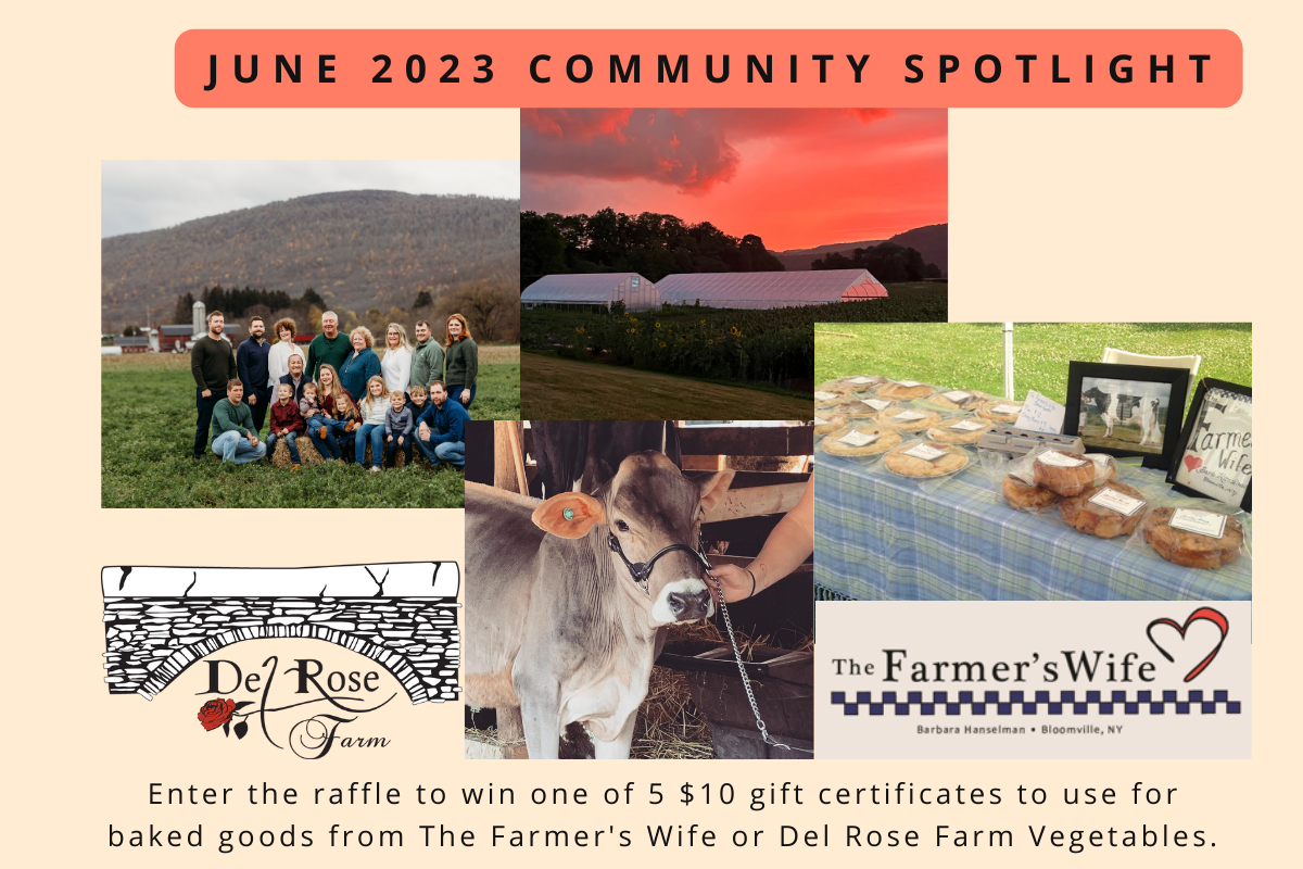 June 2023 community spotlight