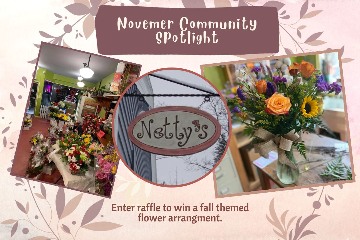 November Community Spotlight