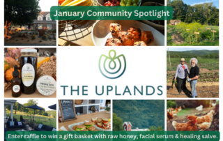 January 2024 Community Spotlight