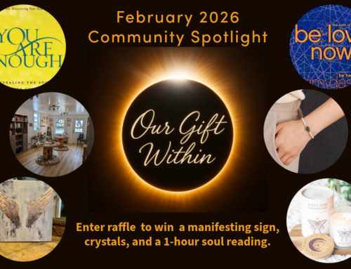 February 2026 Community Spotlight